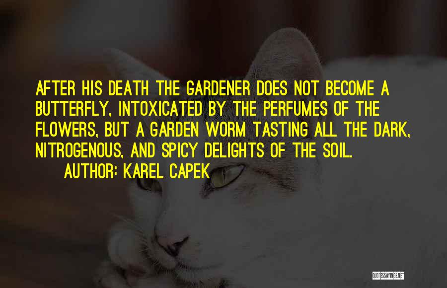 Death Butterfly Quotes By Karel Capek