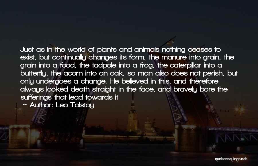 Death Butterfly Quotes By Leo Tolstoy