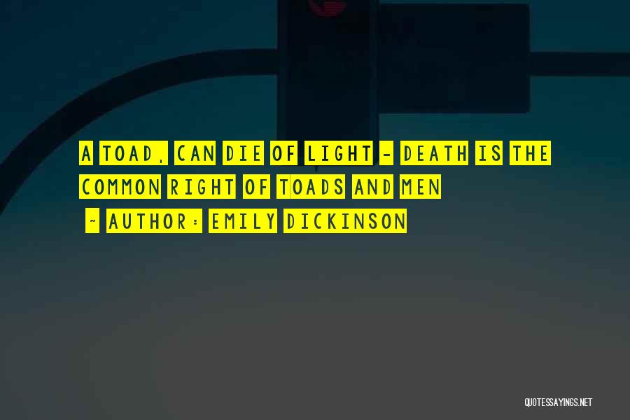 Death By Emily Dickinson Quotes By Emily Dickinson