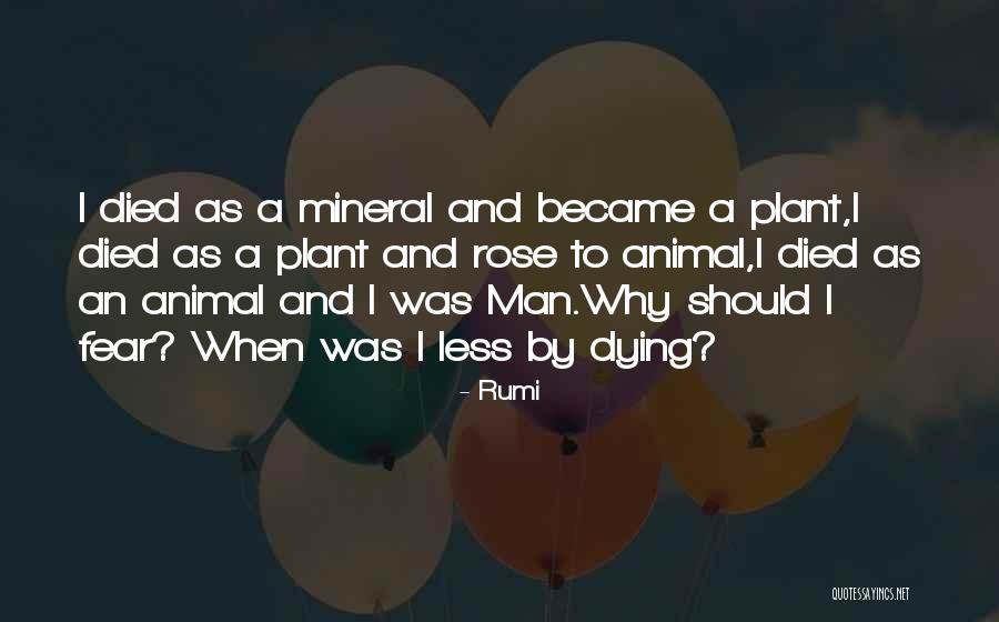 Death By Rumi Quotes By Rumi Death By Rumi Quotes By Rumi