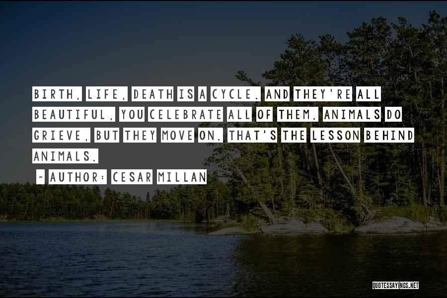 Death Celebrate A Life Quotes By Cesar Millan