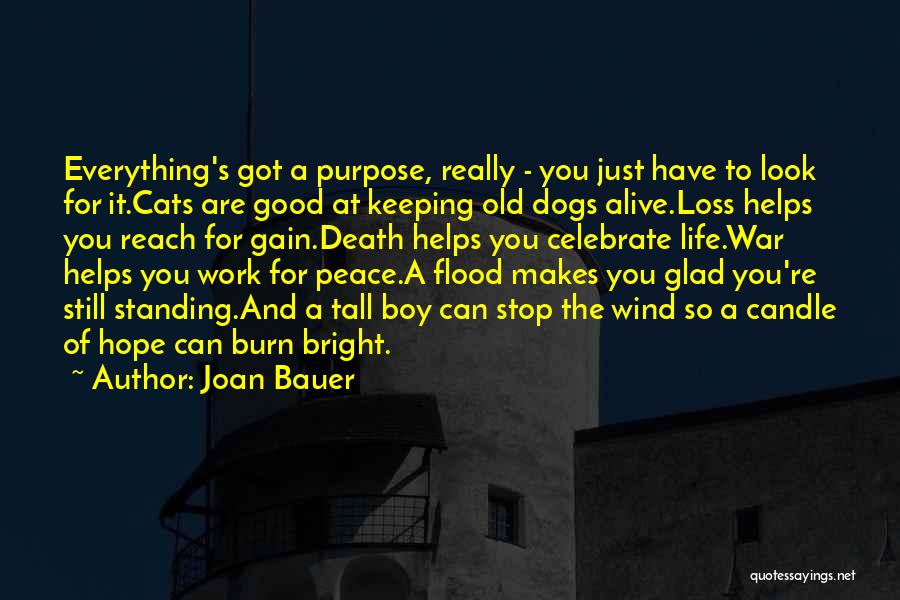 Death Celebrate A Life Quotes By Joan Bauer Death Celebrate A Life Quotes By Joan Bauer