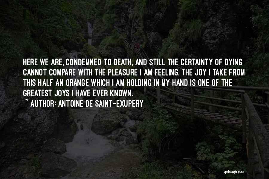 Death Certainty Quotes By Antoine De Saint-Exupery