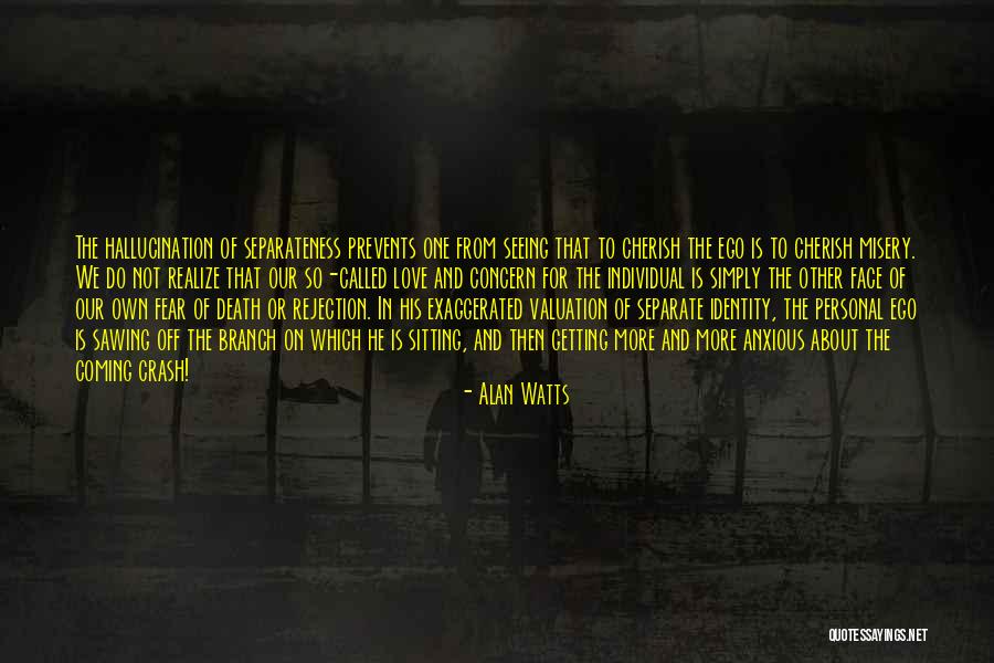 Death Cherish Quotes By Alan Watts