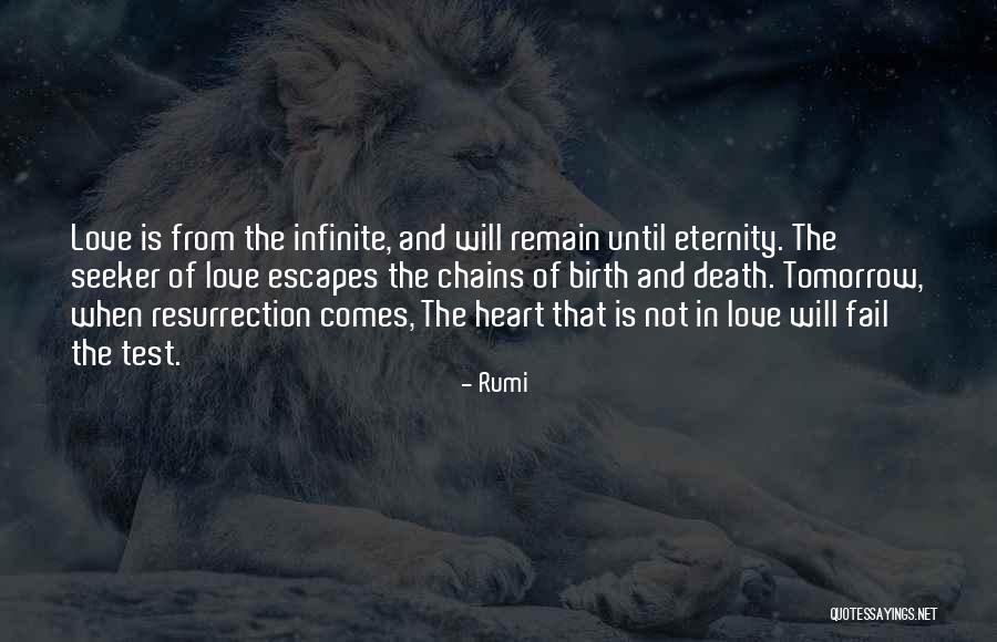 Death Comes Quotes By Rumi