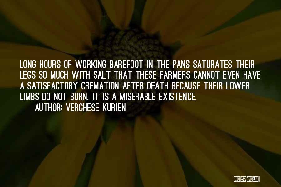 Death Cremation Quotes By Verghese Kurien