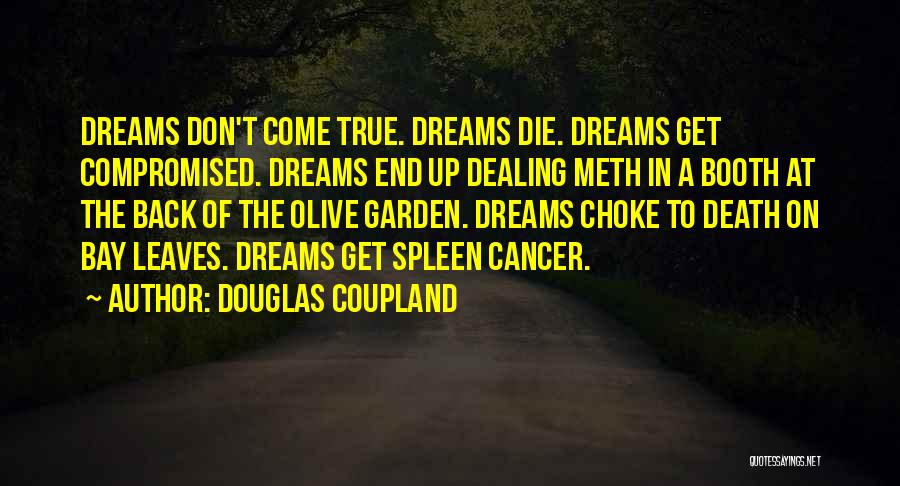 Death Dealing Quotes By Douglas Coupland