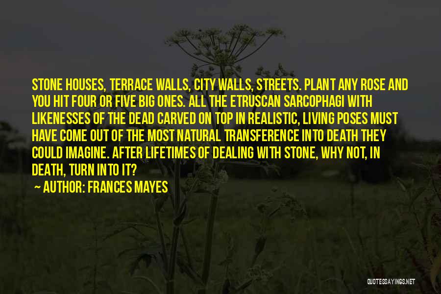 Death Dealing Quotes By Frances Mayes