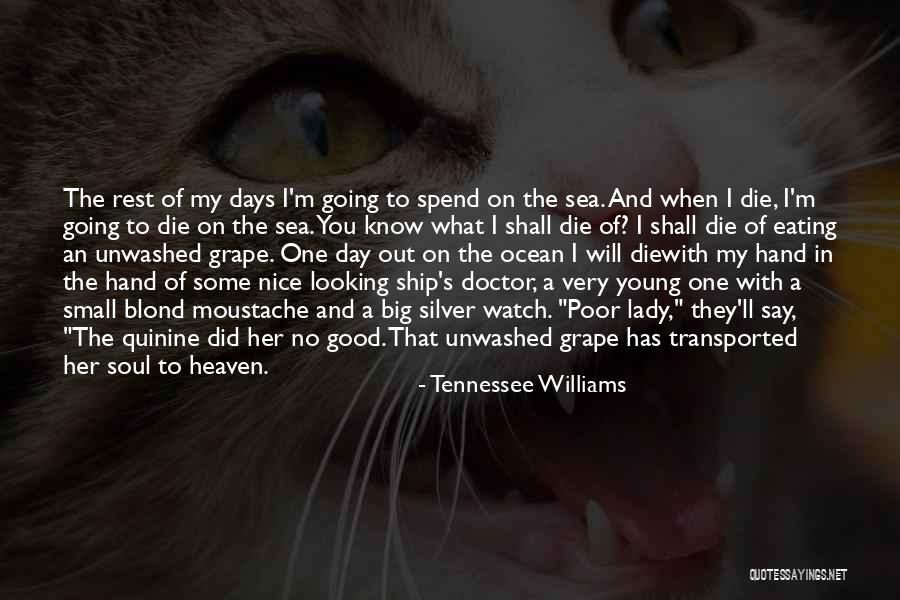 Death Doctor Who Quotes By Tennessee Williams Death Doctor Who Quotes By Tennessee Williams