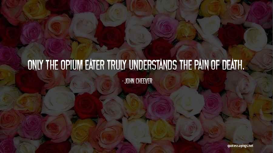 Death Eater Quotes By John Cheever