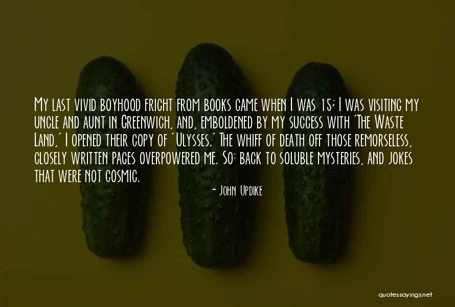 Death From Books Quotes By John Updike