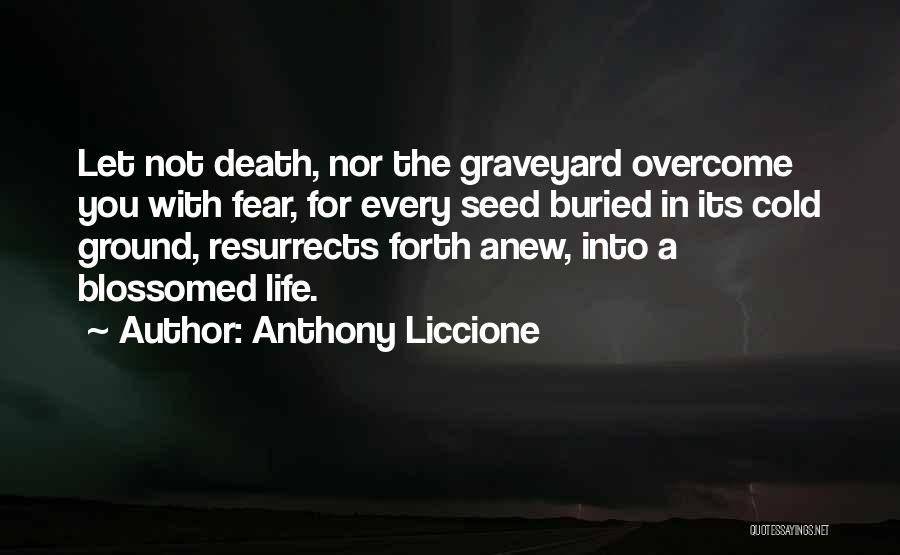 Death Graveyard Quotes By Anthony Liccione