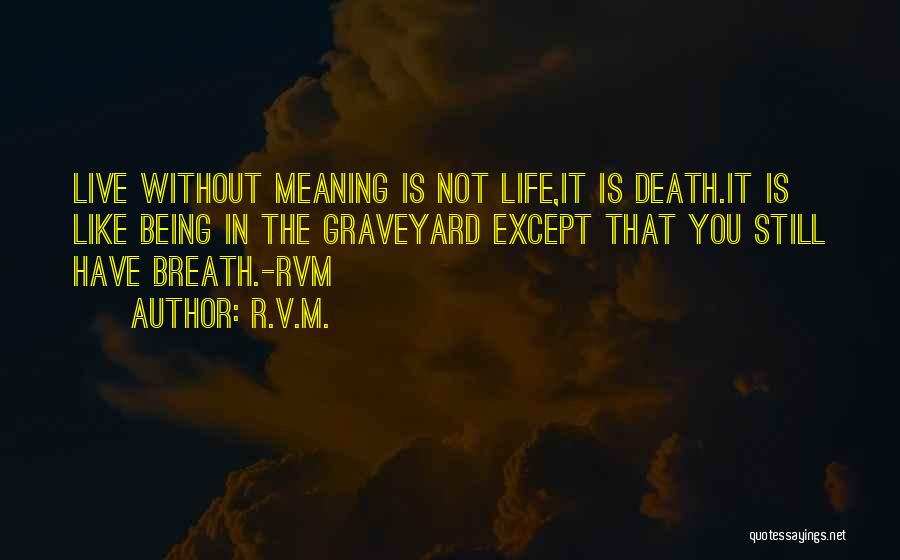 Death Graveyard Quotes By R.v.m.