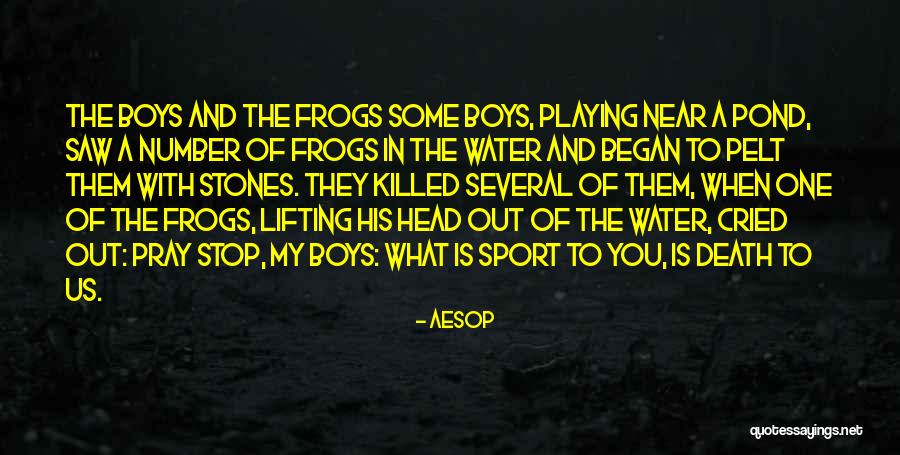 Death Head Quotes By Aesop