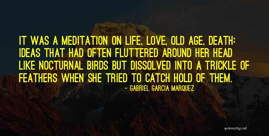 Death Head Quotes By Gabriel Garcia Marquez