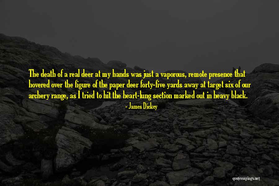 Death How Hit Quotes By James Dickey Death How Hit Quotes By James Dickey