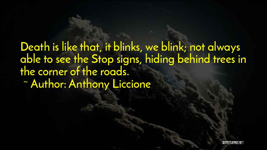 Death In The Road Quotes By Anthony Liccione