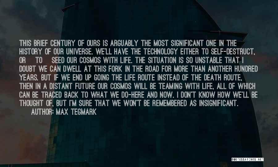Death In The Road Quotes By Max Tegmark