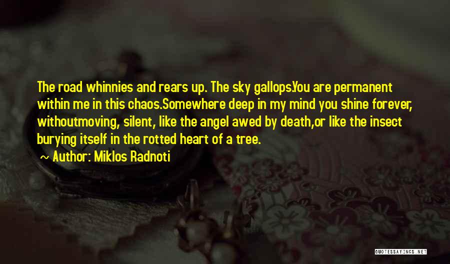 Death In The Road Quotes By Miklos Radnoti