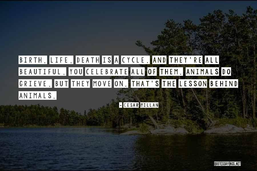 Death Is Beautiful Quotes By Cesar Millan Death Is Beautiful Quotes By Cesar Millan