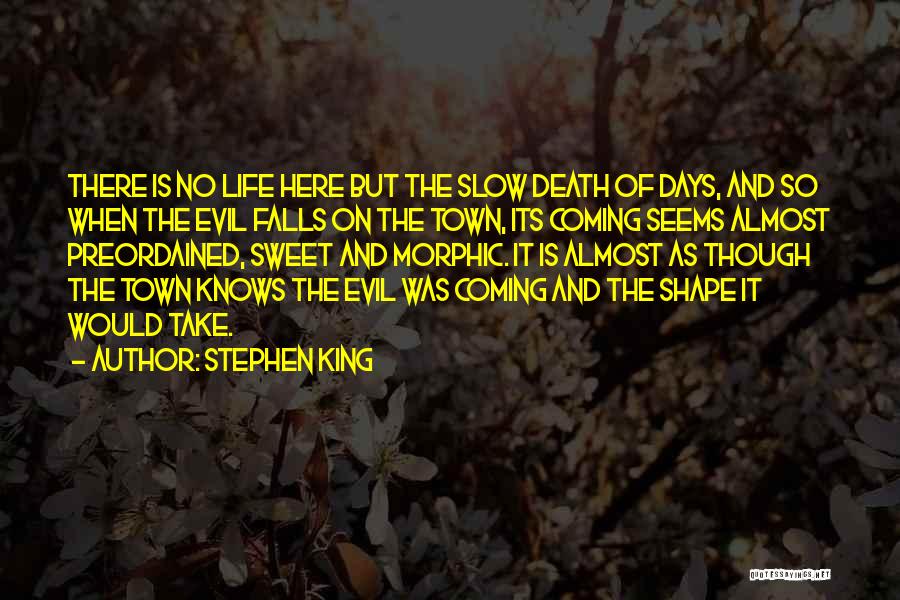 Death Is Coming Quotes By Stephen King
