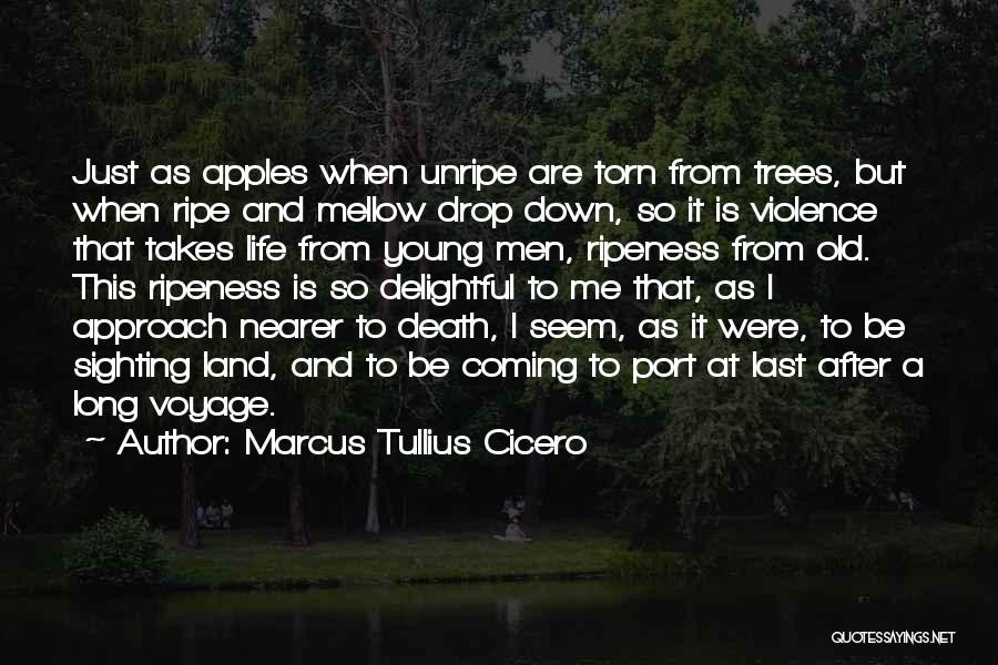 Death Is Coming Soon Quotes By Marcus Tullius Cicero