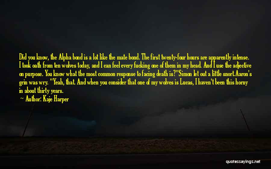 Death Is Funny Quotes By Kaje Harper