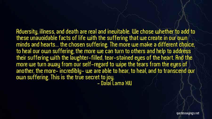 Death Is Inevitable Quotes By Dalai Lama XIV