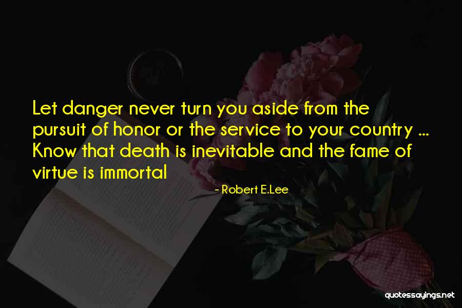 Death Is Inevitable Quotes By Robert E.Lee