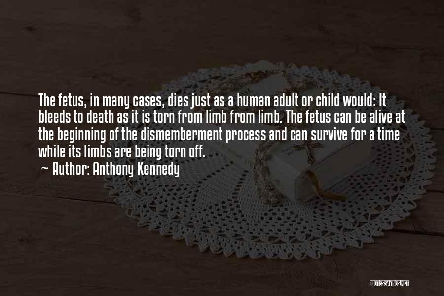 Death Is Just The Beginning Quotes By Anthony Kennedy