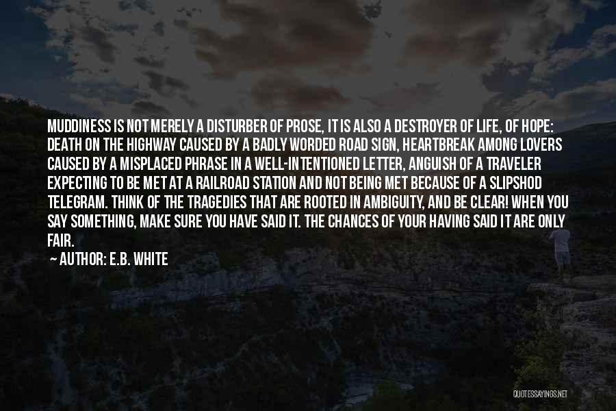 Death Is Not Fair Quotes By E.B. White