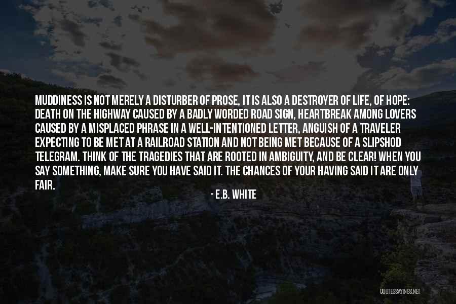 Death Is Not Fair Quotes By E.B. White