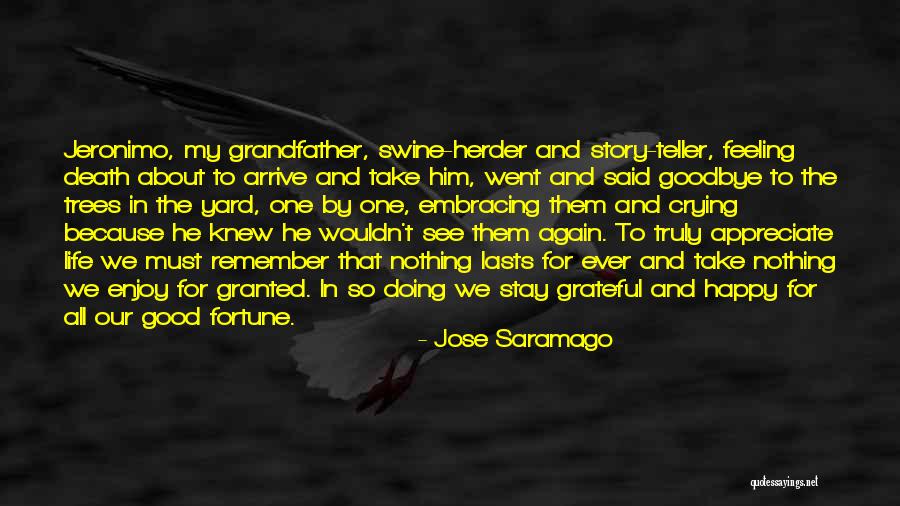 Death Is Not Goodbye Quotes By Jose Saramago Death Is Not Goodbye Quotes By Jose Saramago