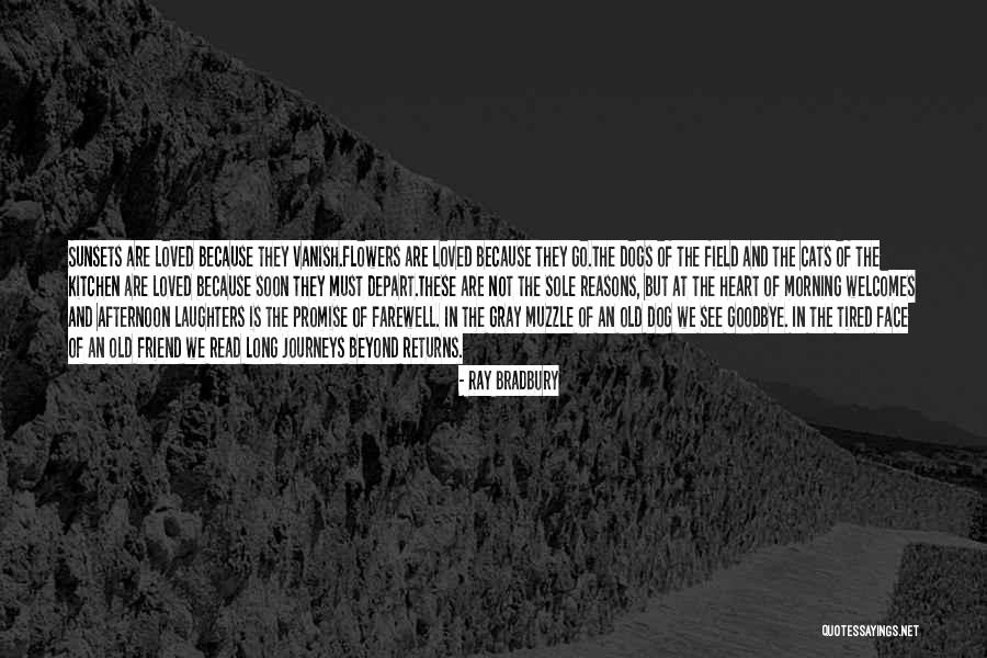 Death Is Not Goodbye Quotes By Ray Bradbury Death Is Not Goodbye Quotes By Ray Bradbury
