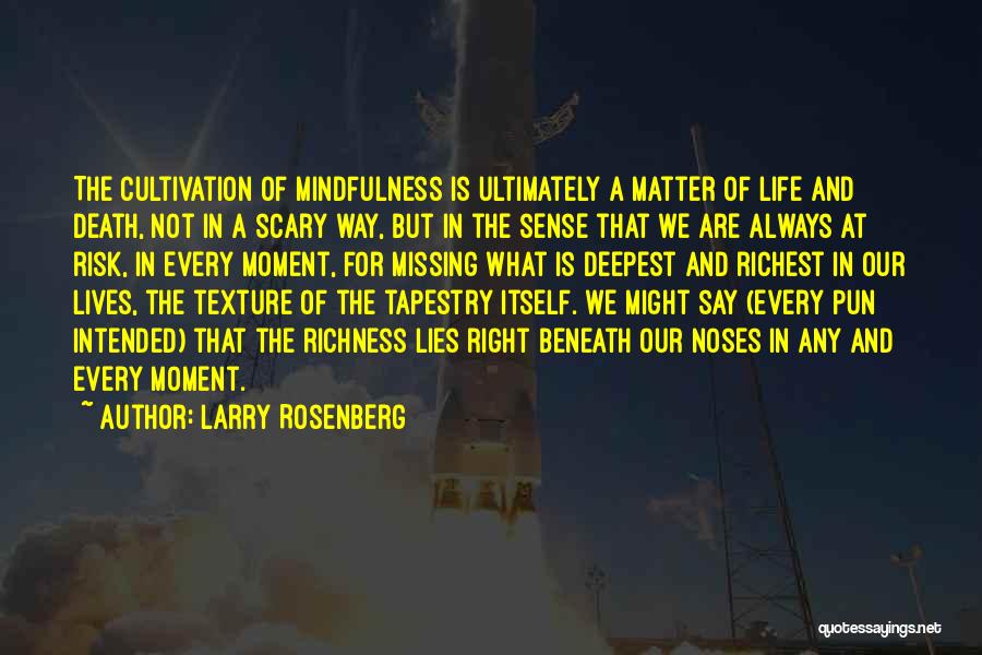 Death Is Not Scary Quotes By Larry Rosenberg