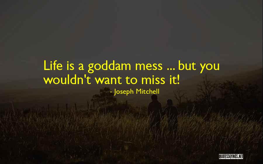 Death Items Quotes By Joseph Mitchell Death Items Quotes By Joseph Mitchell