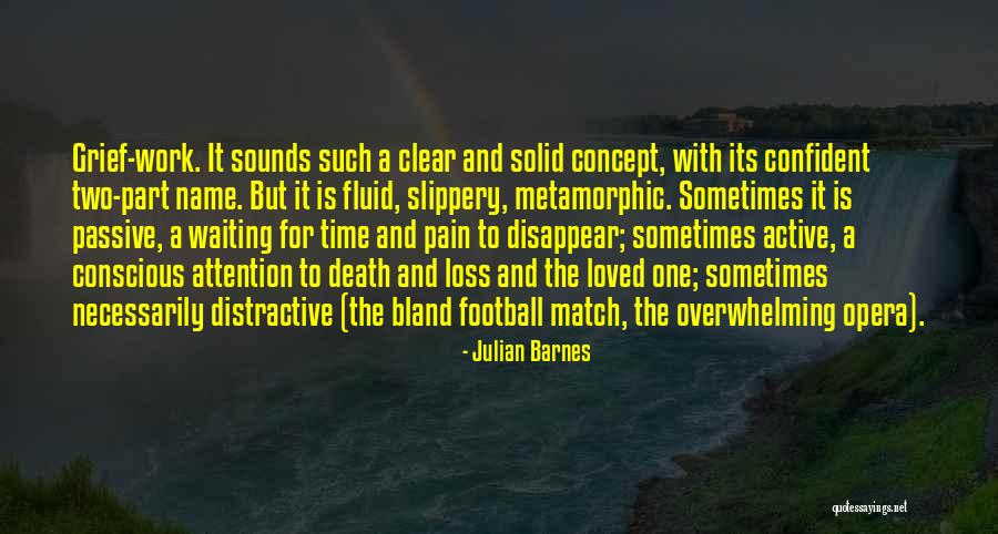 Death Loss And Grief Quotes By Julian Barnes