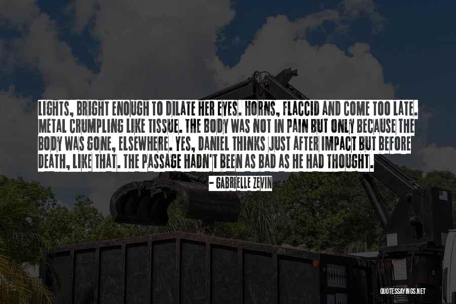 Death Metal Quotes By Gabrielle Zevin Death Metal Quotes By Gabrielle Zevin