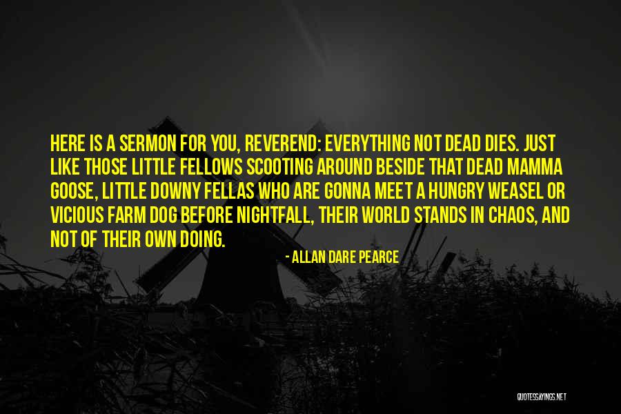 Death Of A Dog Quotes By Allan Dare Pearce Death Of A Dog Quotes By Allan Dare Pearce