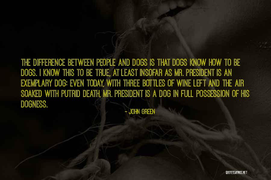 Death Of A Dog Quotes By John Green Death Of A Dog Quotes By John Green