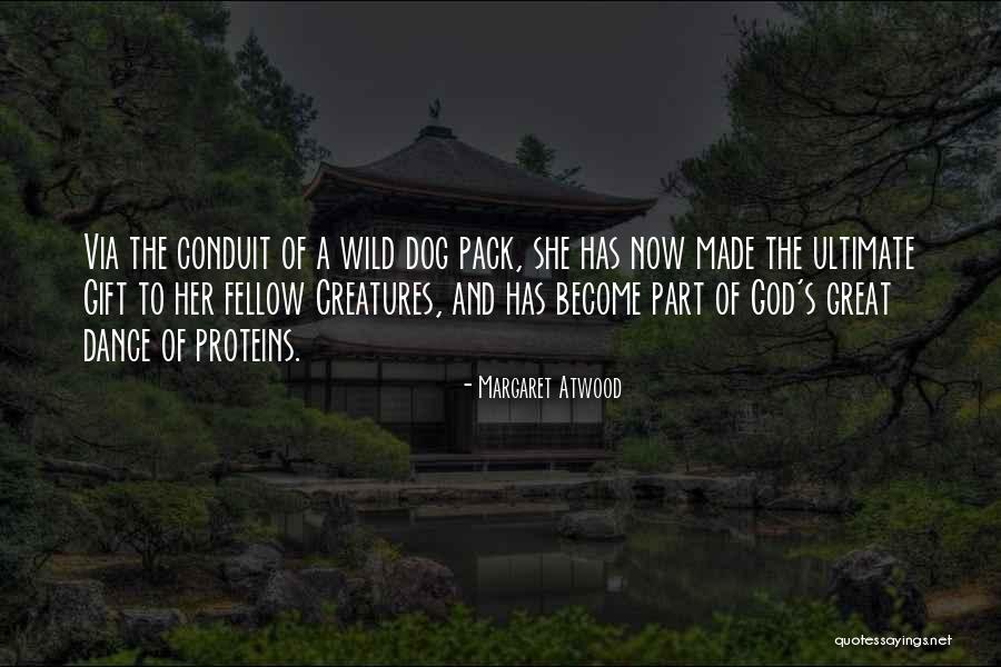 Death Of A Dog Quotes By Margaret Atwood Death Of A Dog Quotes By Margaret Atwood