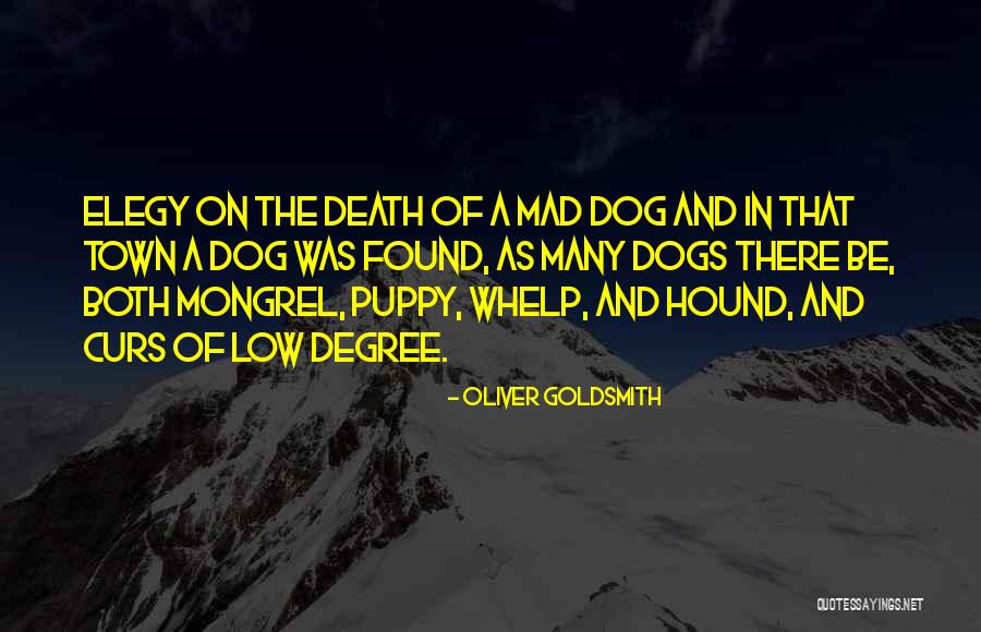 Death Of A Dog Quotes By Oliver Goldsmith Death Of A Dog Quotes By Oliver Goldsmith