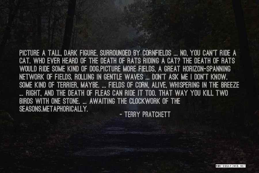 Death Of A Dog Quotes By Terry Pratchett Death Of A Dog Quotes By Terry Pratchett