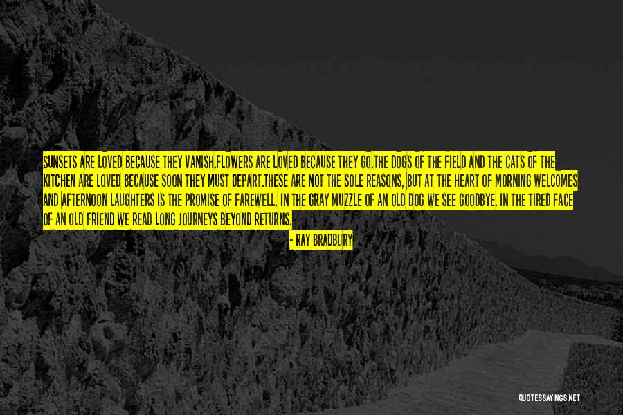 Death Of A Friend Or Loved One Quotes By Ray Bradbury Death Of A Friend Or Loved One Quotes By Ray Bradbury