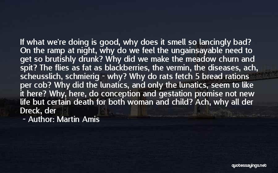Death Of A Good Woman Quotes By Martin Amis