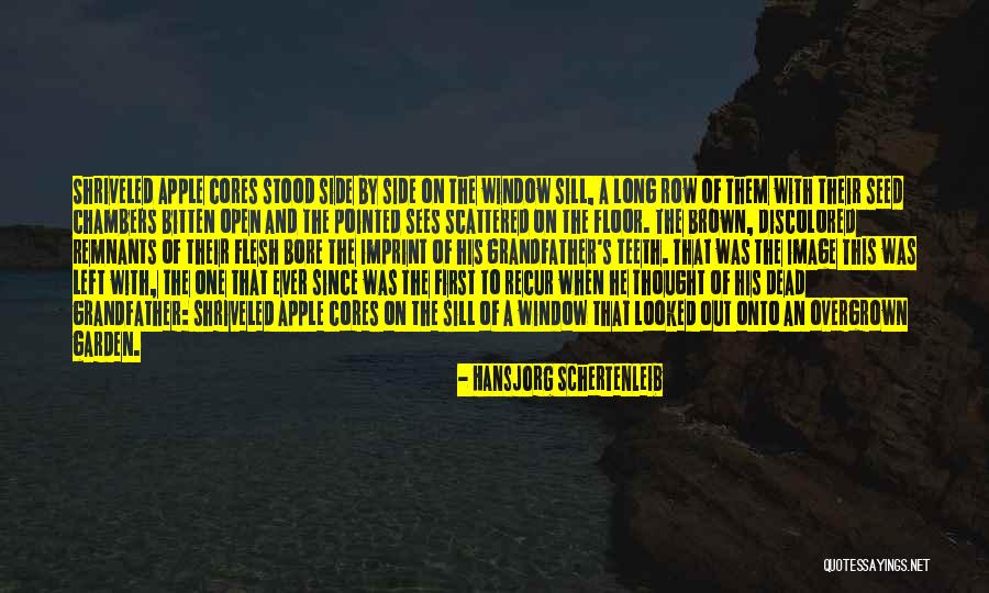 Death Of A Grandfather Quotes By Hansjorg Schertenleib Death Of A Grandfather Quotes By Hansjorg Schertenleib