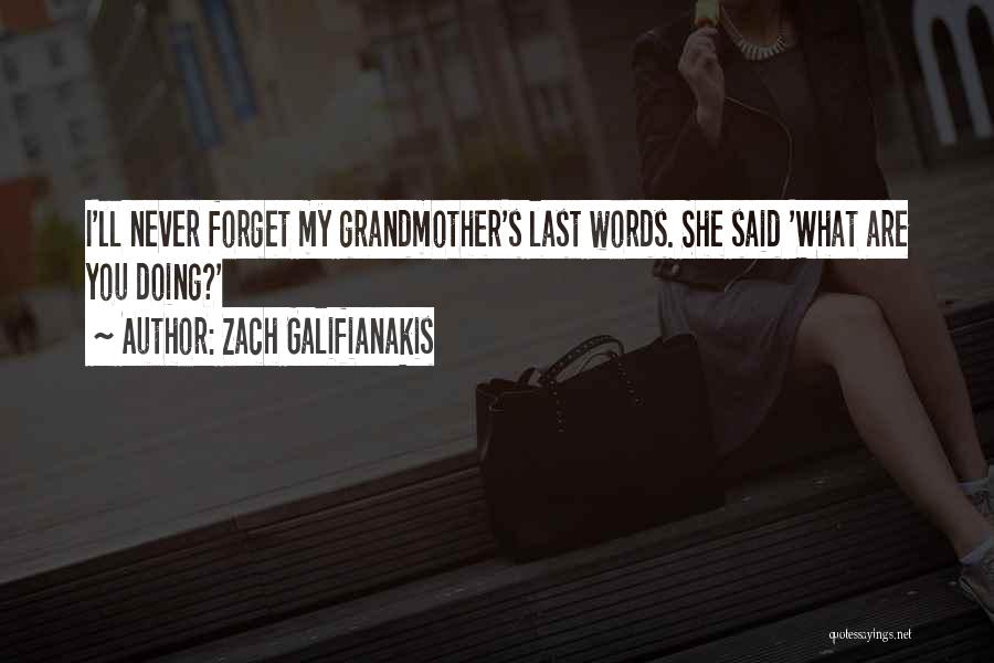 Death Of A Grandmother Quotes By Zach Galifianakis