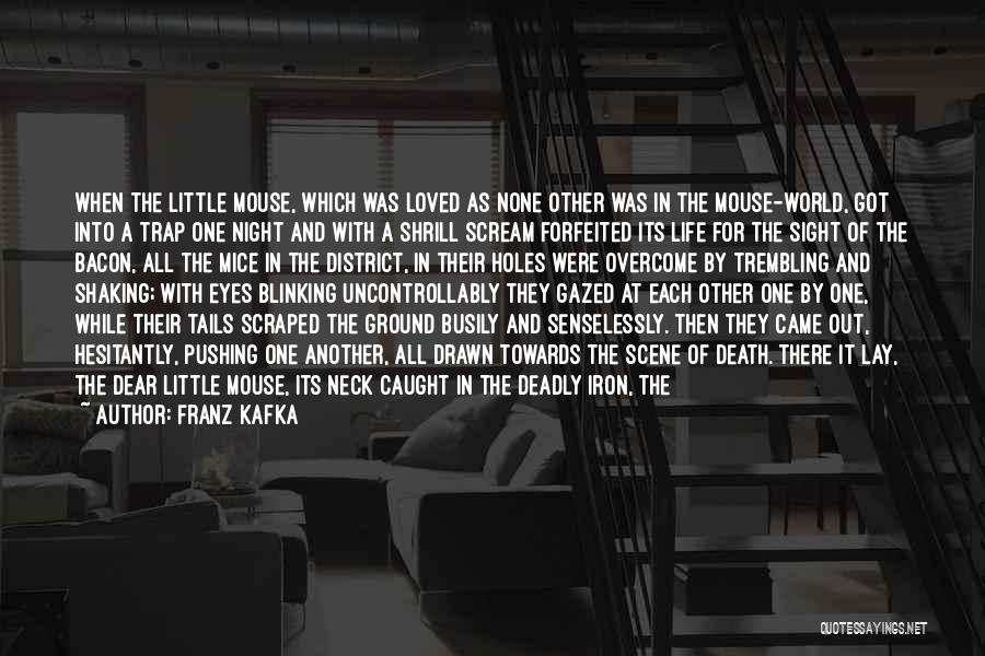 Death Of A Loved One Quotes By Franz Kafka