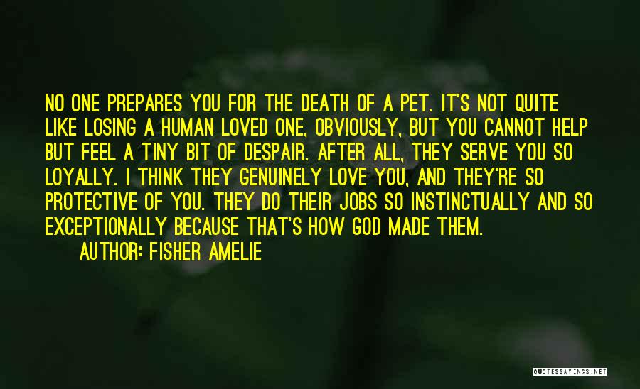 Death Of A Loved Pet Quotes By Fisher Amelie