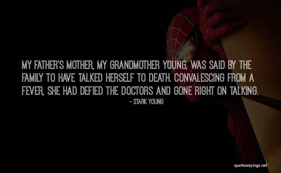 Death Of A Mother And Grandmother Quotes By Stark Young